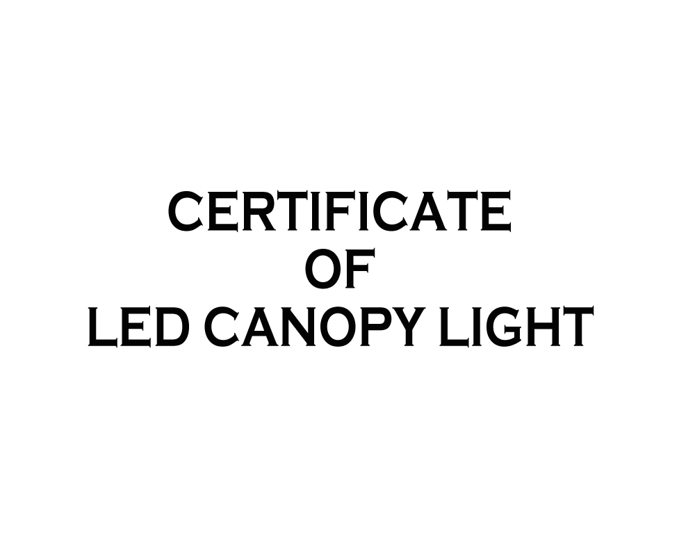 Certificate of LED canopy light